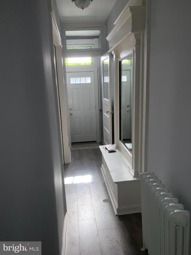 interior space with light hardwood / wood-style floors, radiator heating unit, and ornate columns