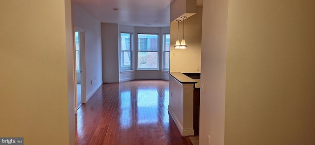 hall featuring hardwood / wood-style flooring