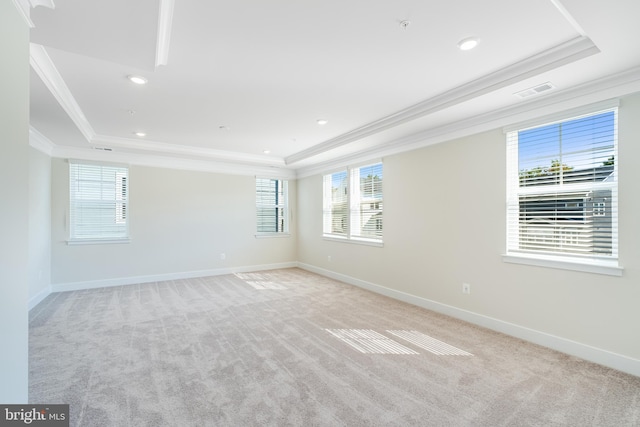 carpeted spare room featuring a tray ceiling and crown molding