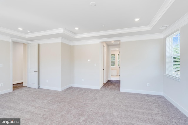 spare room with a raised ceiling, a wealth of natural light, and ornamental molding