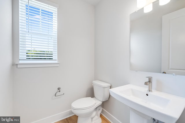 bathroom with hardwood / wood-style floors, toilet, sink, and a wealth of natural light