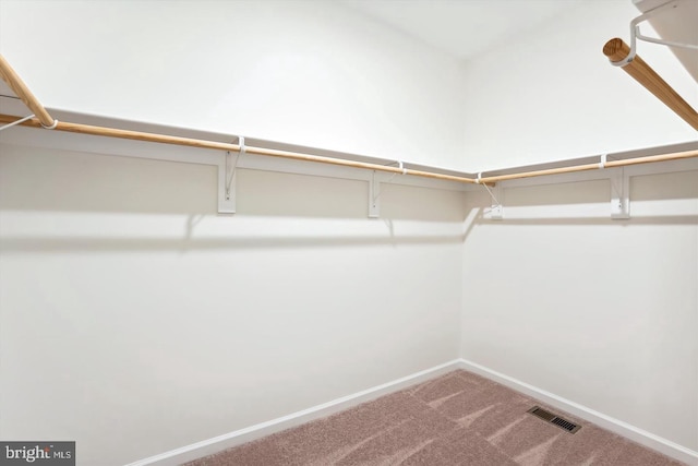 walk in closet featuring carpet