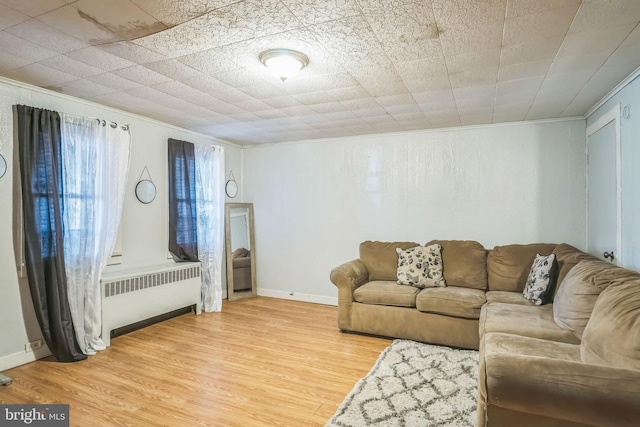 living room with light hardwood / wood-style floors and radiator