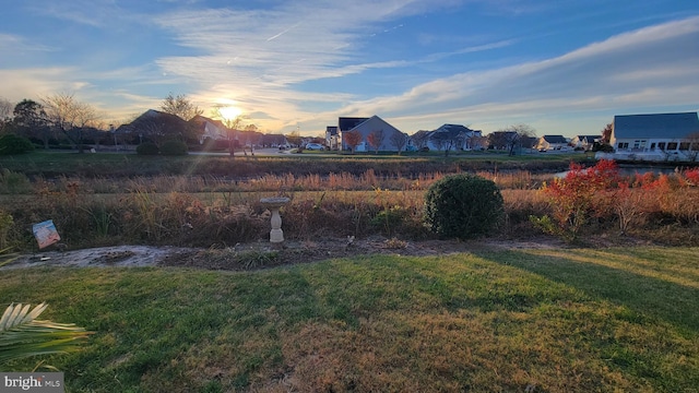 view of yard at dusk