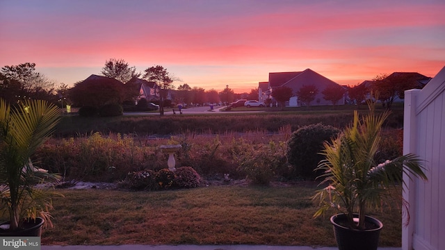 view of yard at dusk