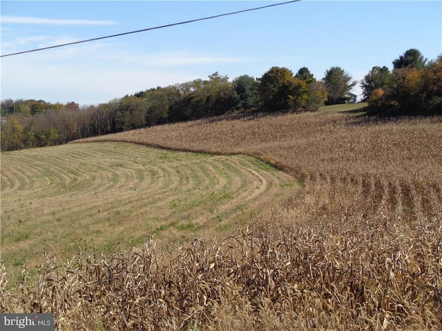 view of landscape featuring a rural view