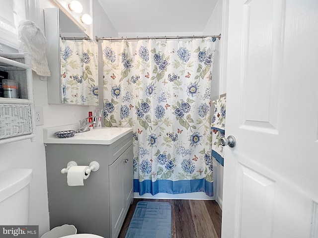 bathroom featuring hardwood / wood-style floors, vanity, toilet, and curtained shower