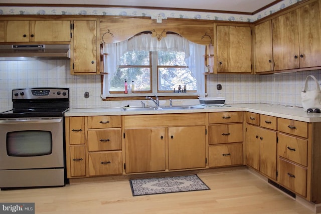 kitchen featuring decorative backsplash, light hardwood / wood-style floors, stainless steel range with electric stovetop, and sink