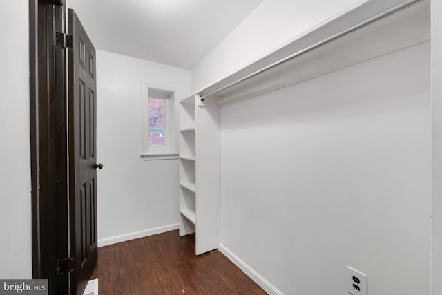 spacious closet with dark wood-type flooring