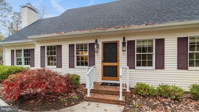 6082 Hounds Bay Cir, Salisbury, MD 21801 - view of exterior entry featuring roof with shingles and a chimney