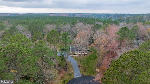 6082 Hounds Bay Cir, Salisbury, MD 21801 - aerial view of property's location with a heavily wooded area