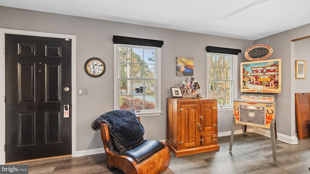 living area featuring hardwood / wood-style floors and a wealth of natural light