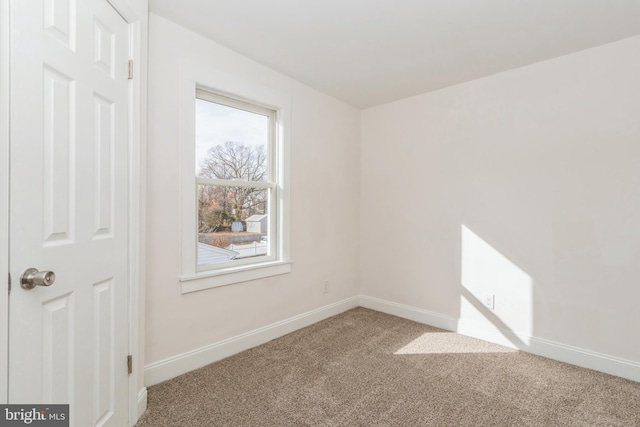 empty room featuring carpet floors