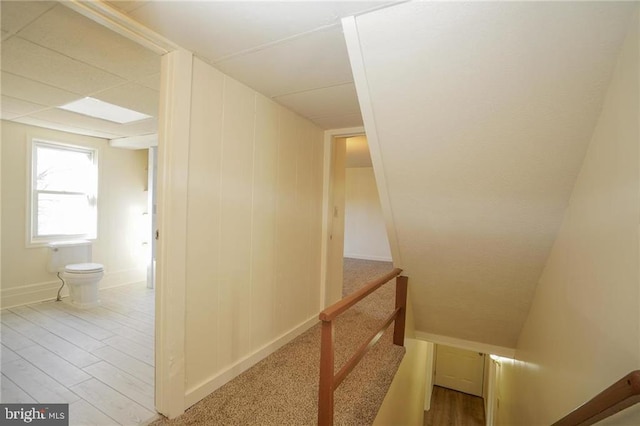 staircase with wood-type flooring