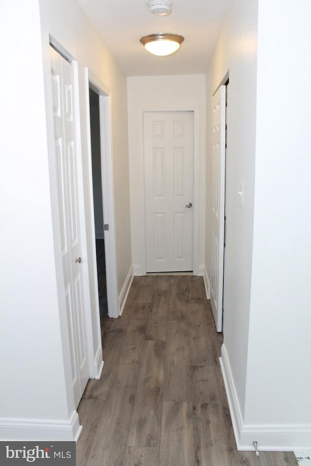 hallway featuring dark wood-type flooring