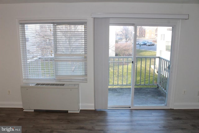 entryway featuring dark hardwood / wood-style flooring and plenty of natural light