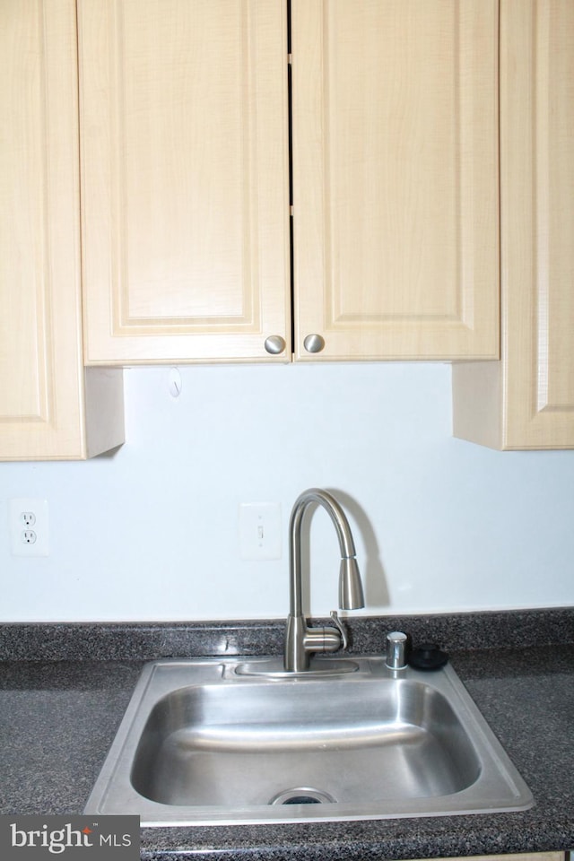 details featuring light brown cabinetry and sink