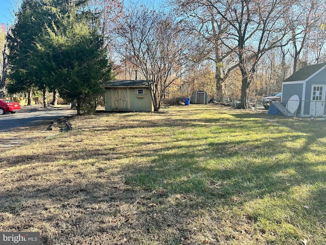 view of yard featuring a shed