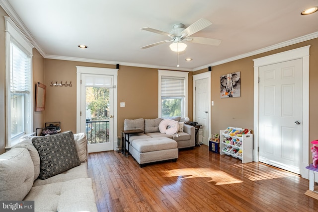 living room featuring hardwood / wood-style floors, plenty of natural light, ceiling fan, and ornamental molding