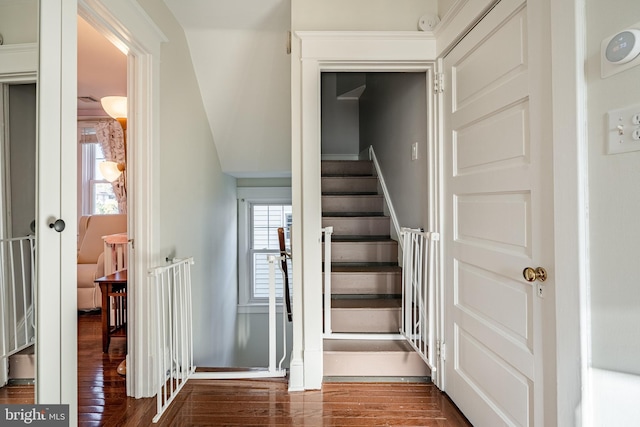 stairway featuring hardwood / wood-style floors