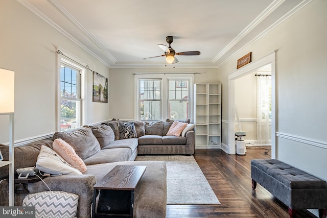 living room with dark hardwood / wood-style floors, ceiling fan, and ornamental molding