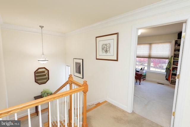 hall featuring light colored carpet and crown molding