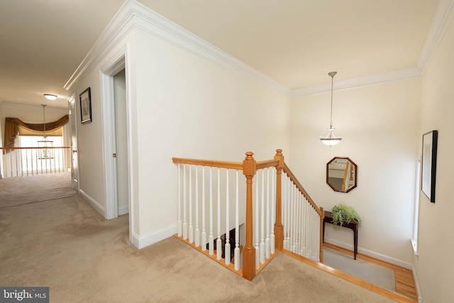 hall with carpet flooring and crown molding