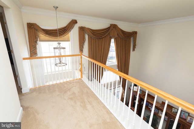 hallway featuring carpet, a chandelier, and ornamental molding