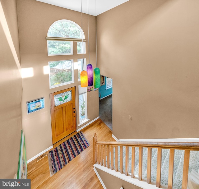 foyer entrance with hardwood / wood-style flooring