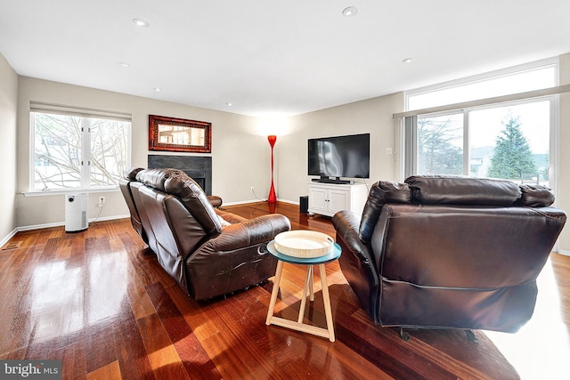 living room with hardwood / wood-style floors