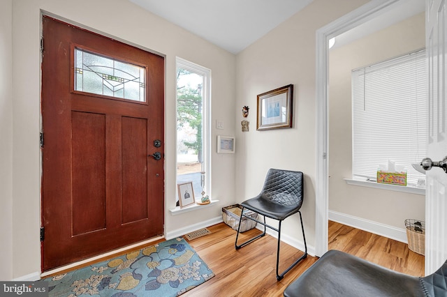 entrance foyer featuring light hardwood / wood-style flooring