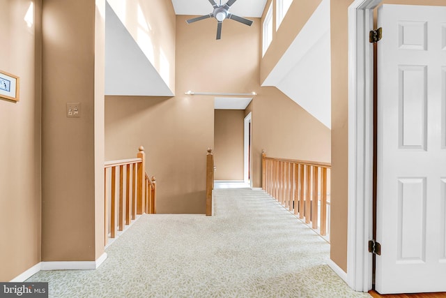 corridor with carpet and a high ceiling