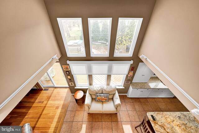 living room with light hardwood / wood-style floors and a healthy amount of sunlight