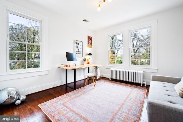 office featuring radiator, a wealth of natural light, and dark wood-type flooring