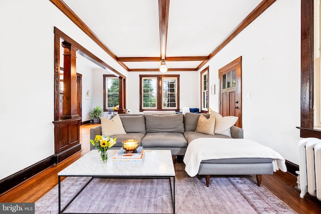 living room featuring hardwood / wood-style floors, radiator, ornamental molding, and beam ceiling