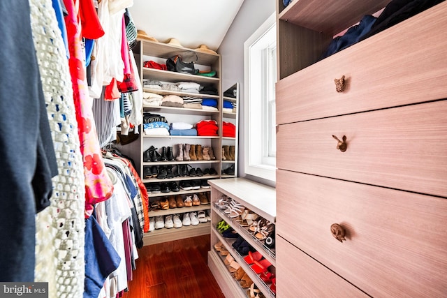 walk in closet featuring dark hardwood / wood-style flooring