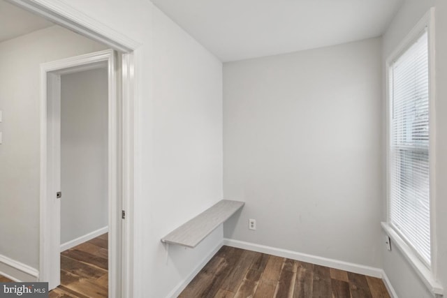 mudroom with dark hardwood / wood-style flooring