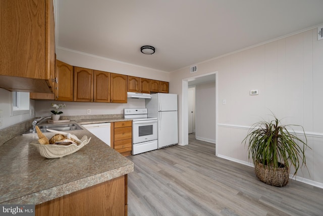 kitchen with crown molding, light hardwood / wood-style flooring, white appliances, and sink