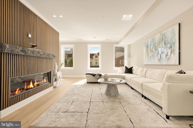 living room with ornamental molding and light hardwood / wood-style flooring