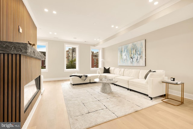 living room featuring crown molding and light hardwood / wood-style floors