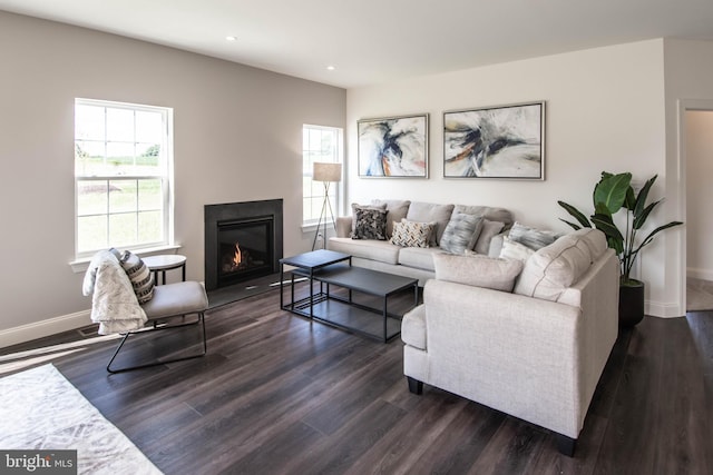 living room featuring dark wood-type flooring