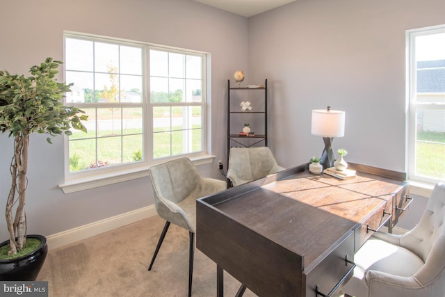 carpeted home office featuring plenty of natural light