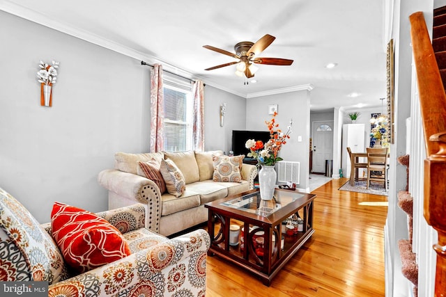 living room featuring ceiling fan, light wood-type flooring, and crown molding