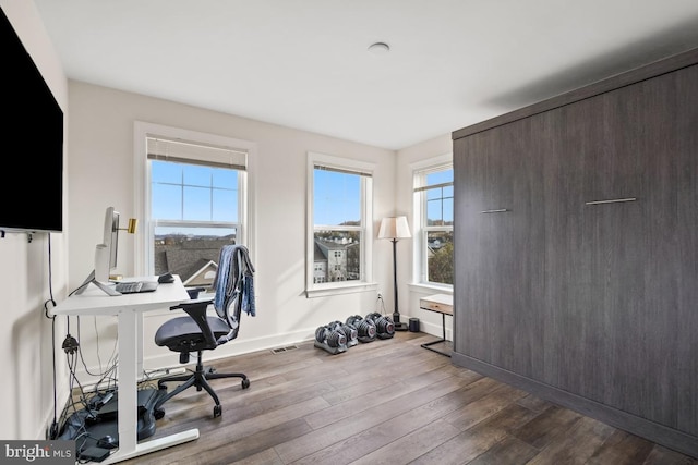 office featuring wood-type flooring