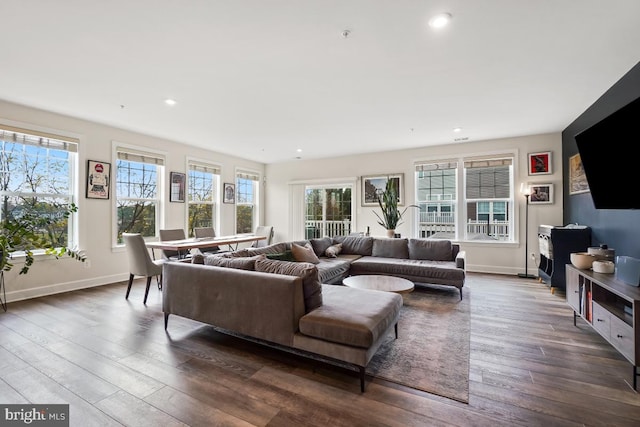 living room featuring dark hardwood / wood-style flooring