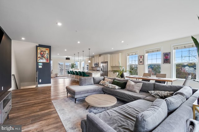 living room with a wealth of natural light and dark hardwood / wood-style flooring