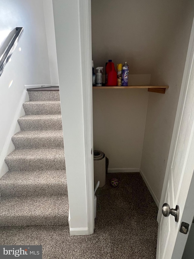 stairs with carpet