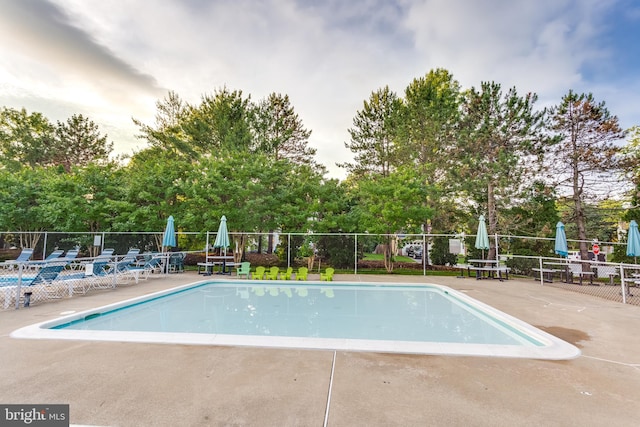 view of pool with a patio area