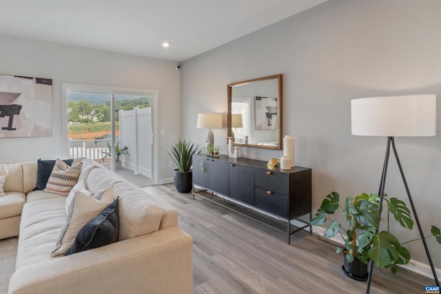 living room featuring hardwood / wood-style flooring