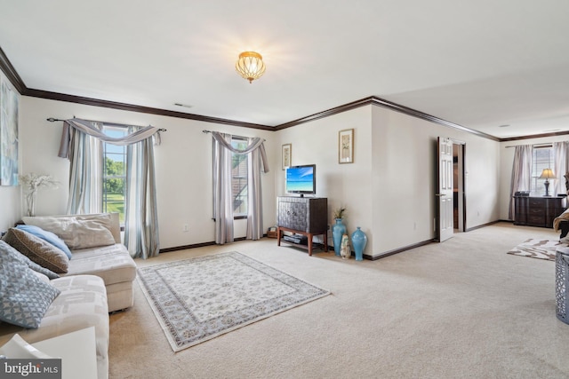 carpeted living room with crown molding